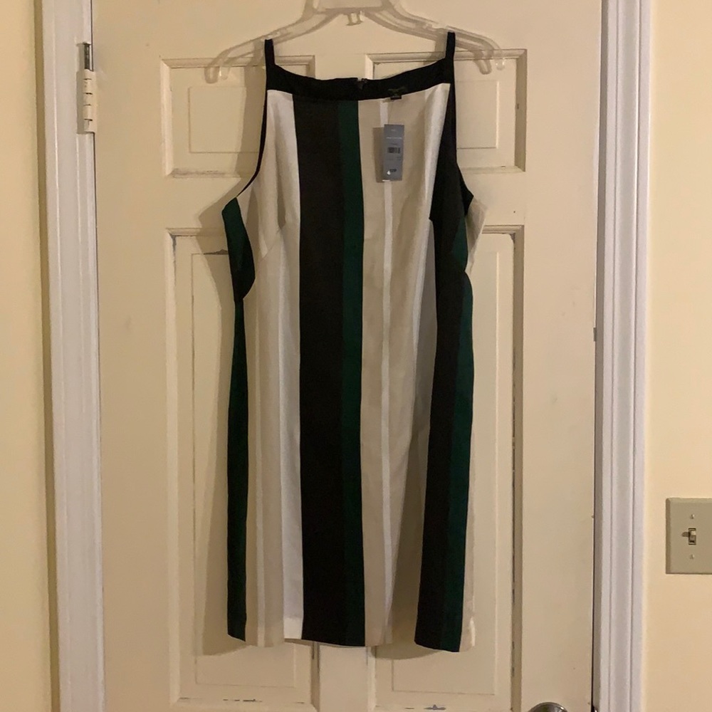 Ann Taylor Size 12 PETITE Striped Green/Beige/White/Black MUST HAVE Machine Wash